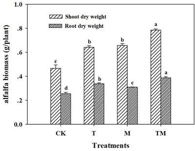 Trichoderma-Inoculation and Mowing Synergistically Altered Soil Available Nutrients, Rhizosphere Chemical Compounds and Soil Microbial Community, Potentially Driving Alfalfa Growth